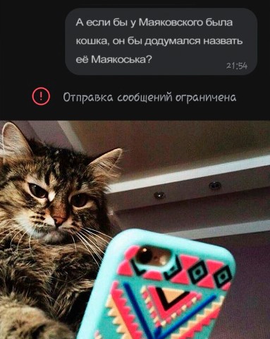 art.berdnichenko в LOOKY. . Ну почему так смешно...