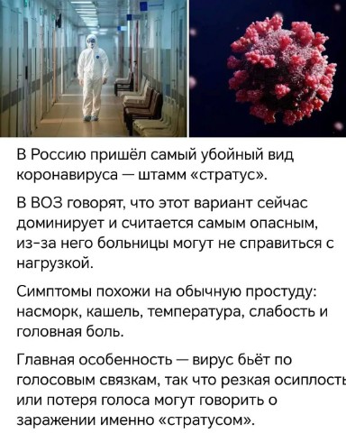 Алёна Чжан в LOOKY. . 🦠 Новый штамм корон...