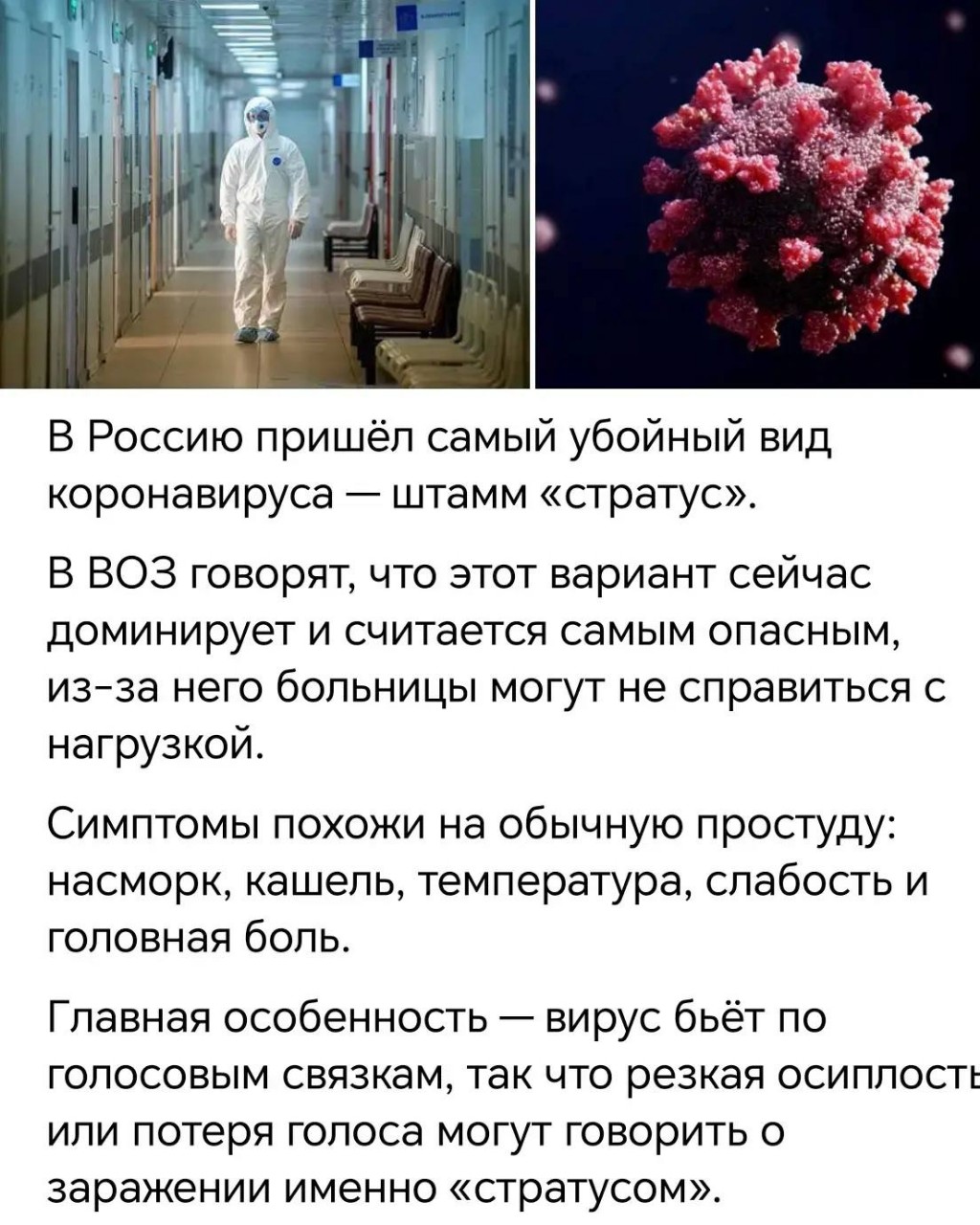 🦠 Новый штамм коронавируса «Стратус»: что важно знать?

В начале 2026 года в России и мире вновь фиксируется рост заболеваемости COVID-19, и главным «героем» сезона стал новый штамм — «Стратус». Вот что о нём известно:

 🔎 Откуда взялся и чем опасен?
- Впервые выявлен в январе 2025 года в Канаде, в России — с апреля 2025 года.
- Это потомок «Омикрона», но с новыми мутациями, которые позволяют ему быстрее распространяться и частично обходить иммунитет.
- Заболевание обычно протекает легко, но вирус очень заразен и может вызвать осложнения у пожилых и людей с хроническими болезнями 

🤒 Основные симптомы:
- Лихорадка, озноб, сухой кашель, боль и першение в горле.
- Насморк, головная боль, слабость, мышечная ломота.
- Стойкая охриплость или потеря голоса — отличительный признак «Стратуса».
- Иногда — диарея, тошнота, проблемы с концентрацией и памятью после болезни

 🏥 Как лечиться?
- Специфического лечения нет, только симптоматическое: покой, обильное питьё, жаропонижающие, ингаляции по назначению врача.
- При ухудшении состояния — обязательно к врачу!

🛡️ Как защититься?
- Маски в людных местах, гигиена рук, проветривание помещений.
- Вакцинация остаётся самым надёжным способом снизить риск тяжёлого течения.
- Не забывайте о здоровом сне и питании — стресс и усталость ослабляют иммунитет. 

 ⚡ Важно
«Стратус» — не повод для паники, но сигнал быть внимательнее к своему здоровью и здоровью близких. Особенно это касается пожилых и людей с хроническими заболеваниями.