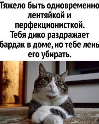 liolia2505 в LOOKY. . 