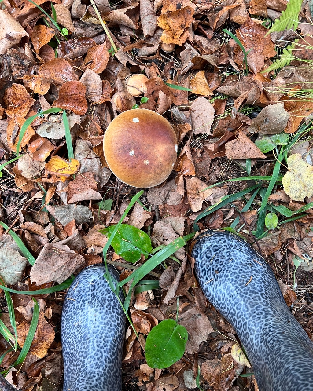 LenaZed в LOOKY — фото 7