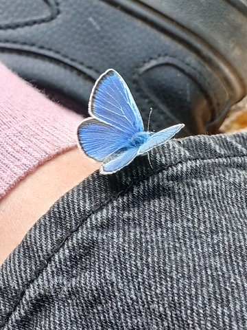 lisavetabylisa в LOOKY. . 🦋