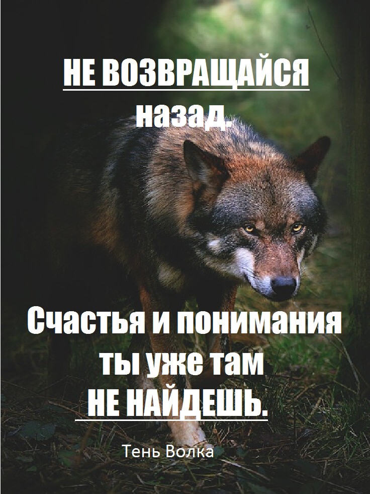 Костя Пакистан in LOOKY. . Смысл дважды на одни...