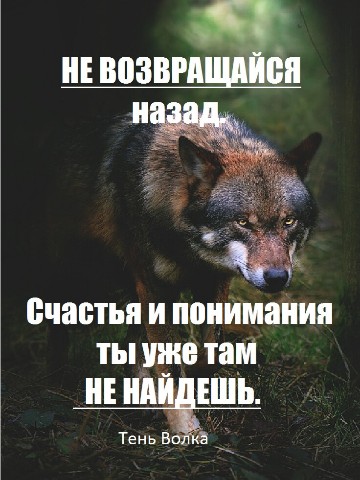 Костя Пакистан в LOOKY. . Смысл дважды на одни...