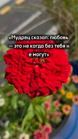 Tatiana Ubushaeva