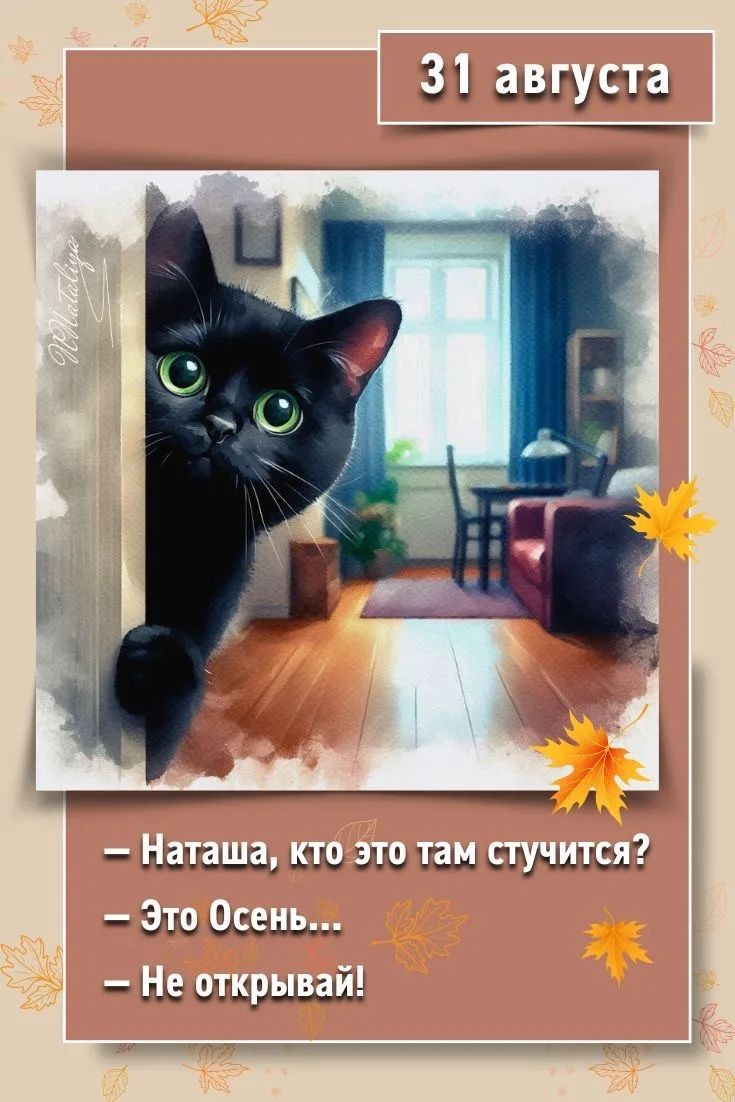 Looky_177435473367901