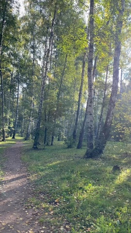 Подписка в тг❤️