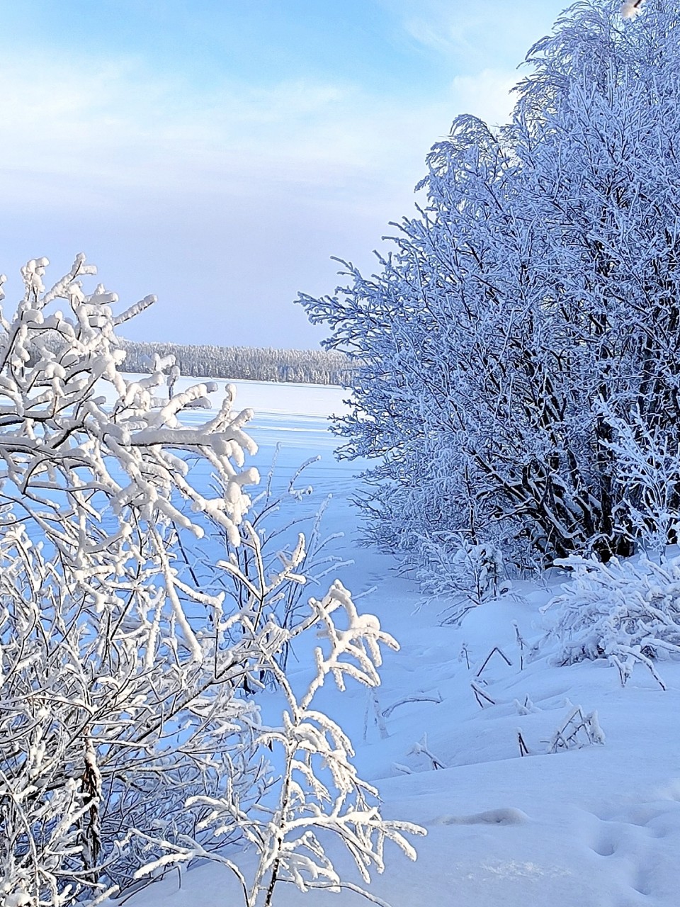 Виктор в LOOKY. #зима
#карелия,#karelia,#karjala,#живувкарелии,#природа,#природакарелии
#looky,#looky_official,#LOOKY_контент,#looky_you,#you,#looky_топ. ❄️Карелия🌲Karjala❄️...