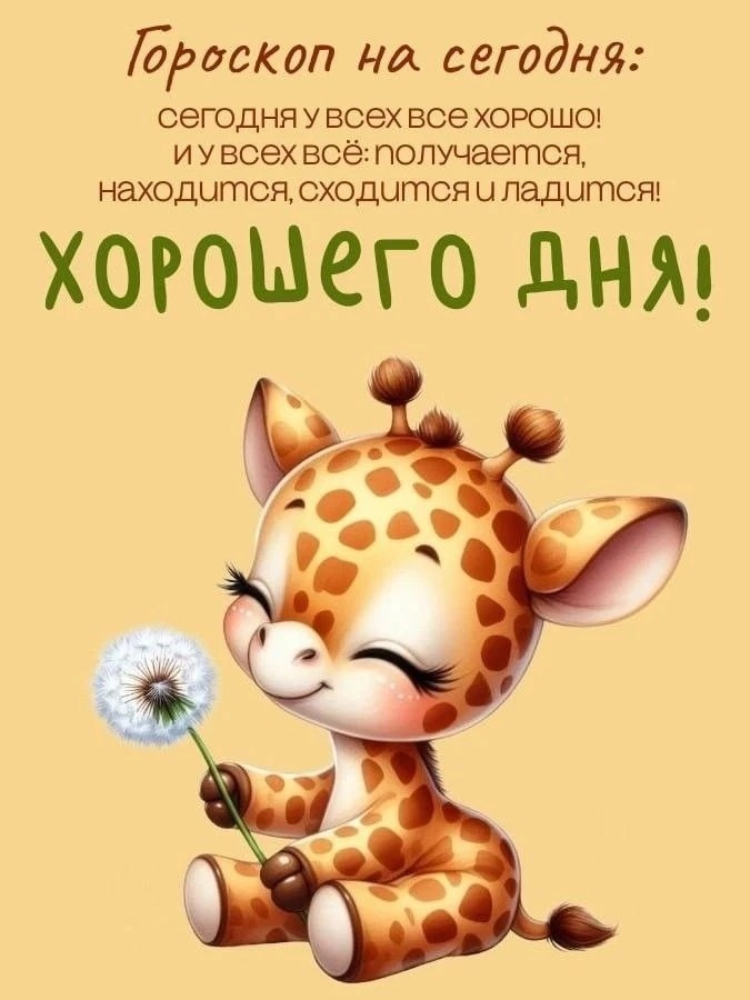  в LOOKY — публикация