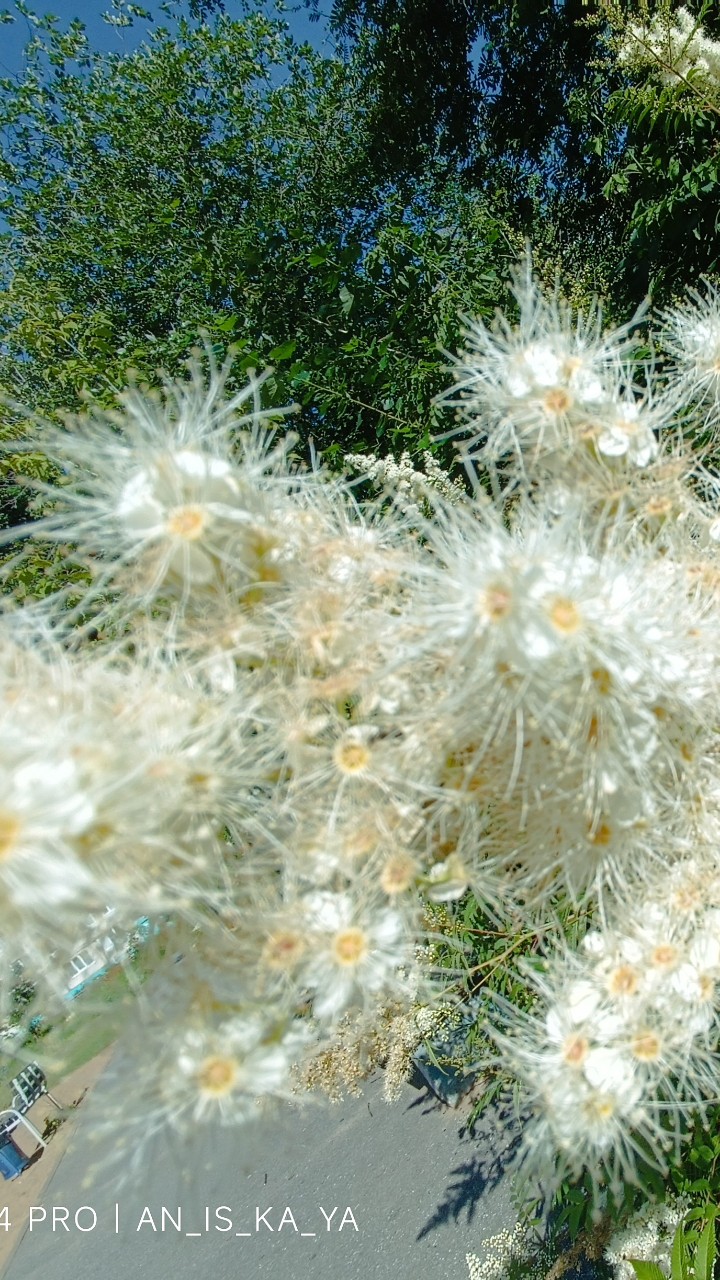 Аннушка в LOOKY — фото 3