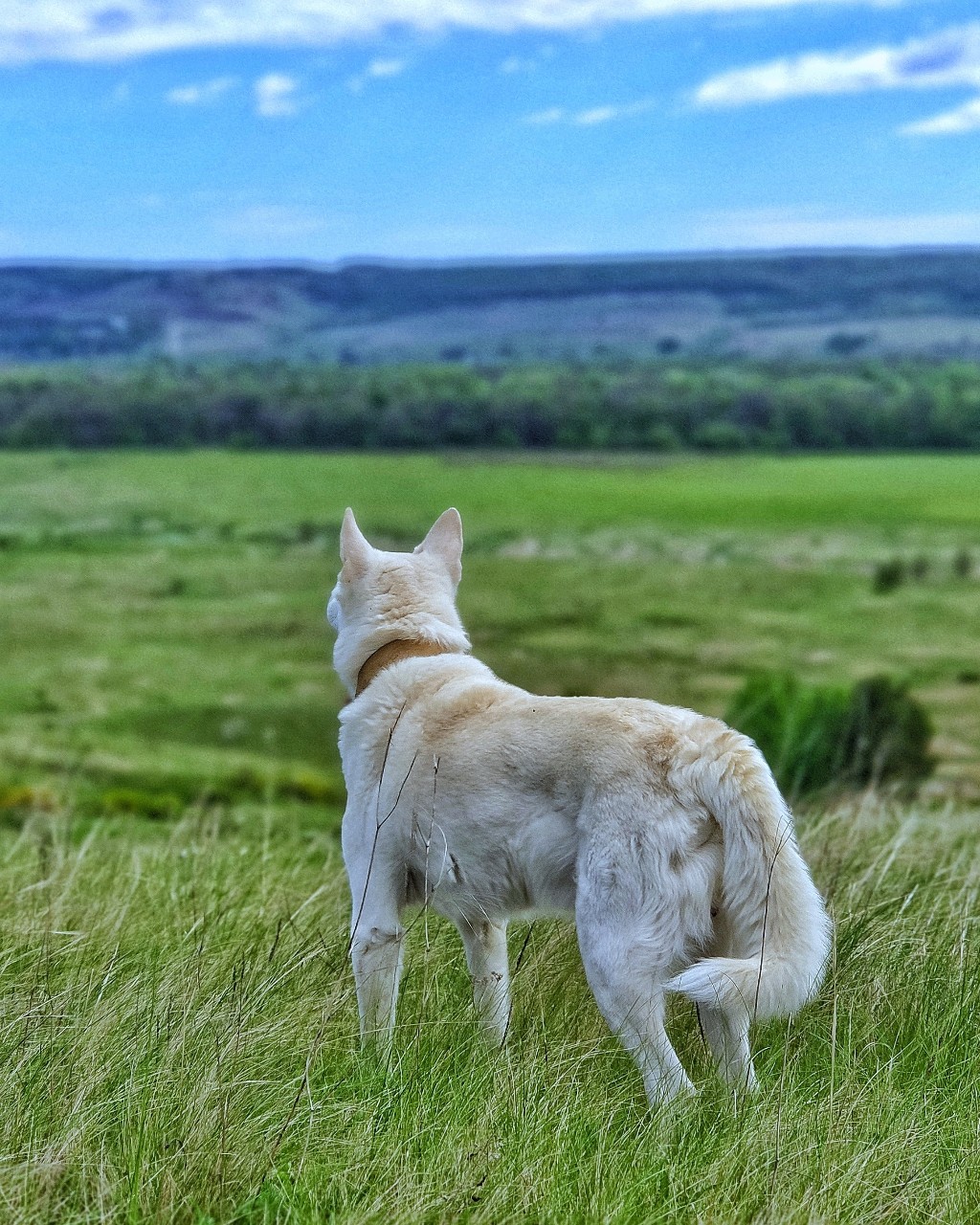 Mar.Vil_foto в LOOKY — публикация