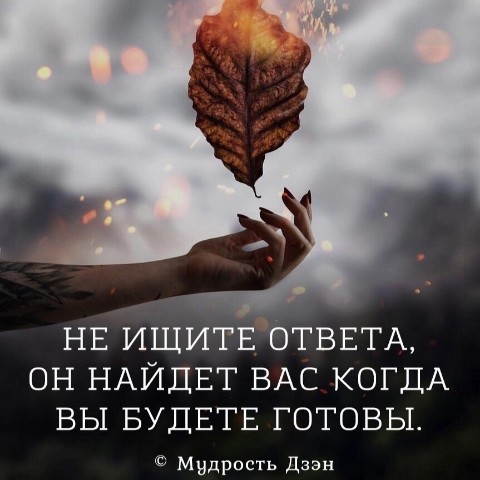 Looky_1696409750493 в LOOKY. #БардашоваДарья,#цитата,#фото,#ответ,#bardashova7,#looky. #БардашоваДарья #цит...