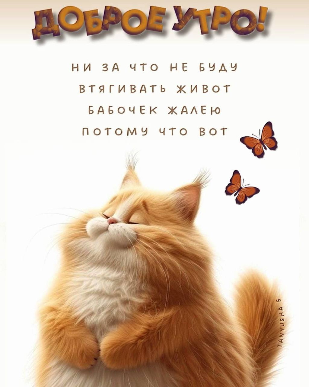 Looky_1697995680656 в LOOKY — публикация