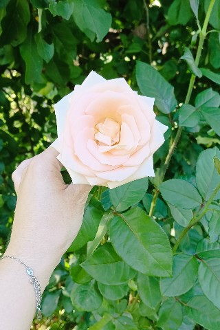 Психолог Марья в LOOKY. #релакс,#психологмарья,#лето. 🪷🌞🌷Топ-10 релакс-...