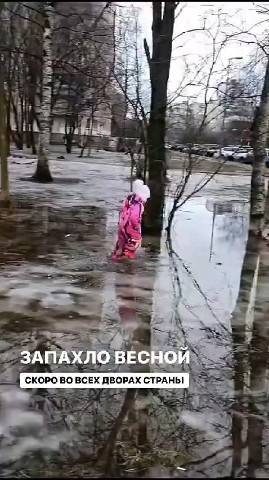 vkysno___prosto в LOOKY. #смешноевидео,#ржунемогу,#напозитиве. Всем отличного весен...