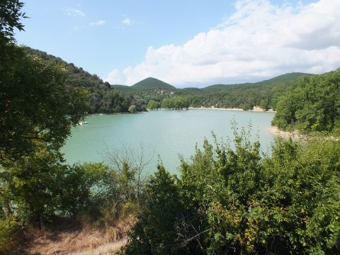 Yana в LOOKY. . 🏞 Кипарисовое озеро...