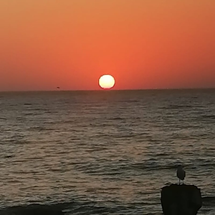 Утро. Алушта.