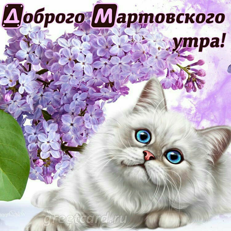 Всех 1-мартом