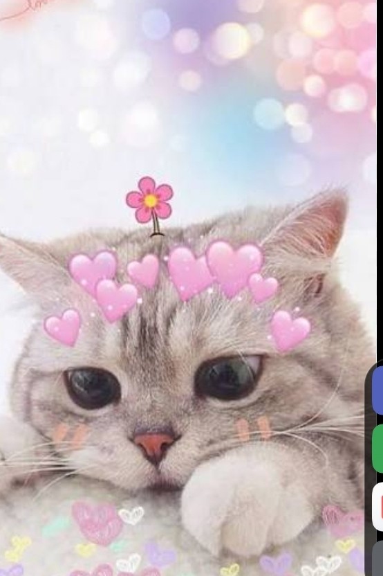 Love751 в LOOKY — публикация