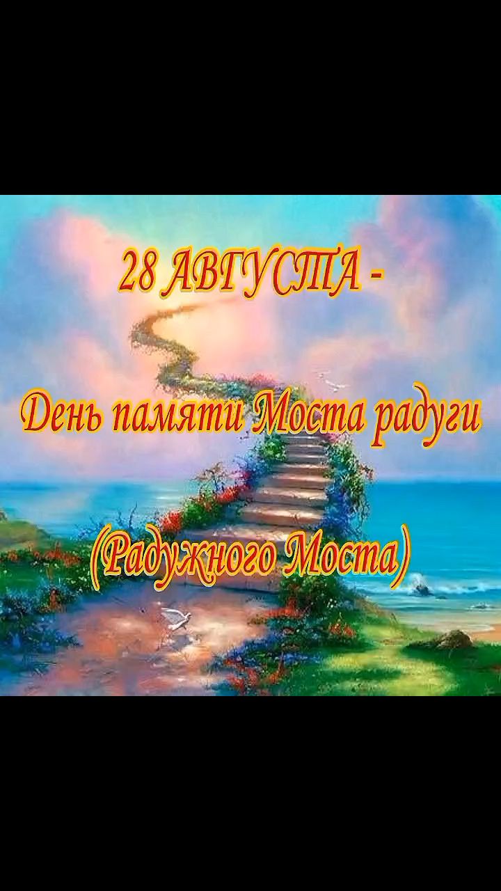 pserge61 в LOOKY. #БлоггерЛёваиК,#ПрайдПроДеньПамятиРадужногоМоста,#рыжийкот,#чёрныйкот,#ориентал,#сфинкс,#норвежскийлеснойкот,#русскоевропейскаялайка,#котики,#мыизкотограма. <<ДЕНЬ ПАМЯТИ РАДУЖН...