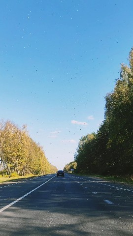 Юлия в LOOKY. . Поездка за грибами. ...