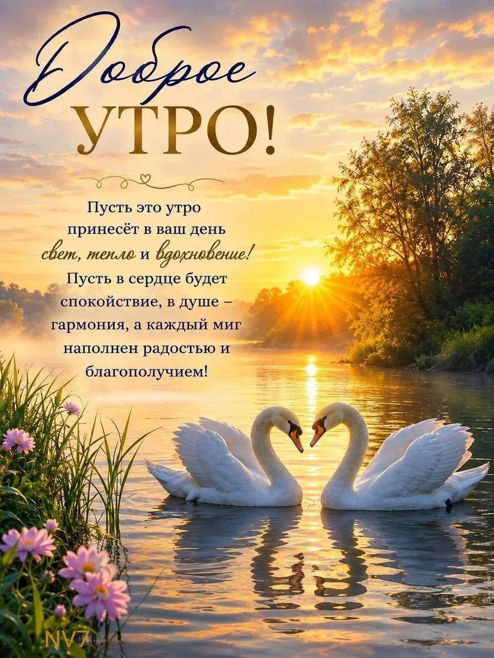  в LOOKY — публикация