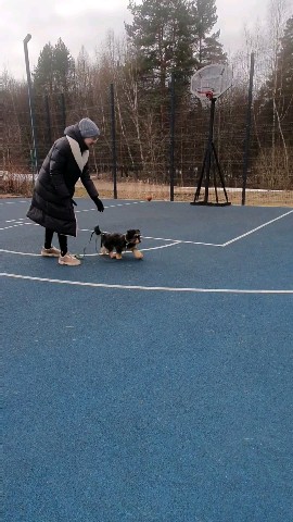 Ната Ли в LOOKY. #. Случилось то, что и ...