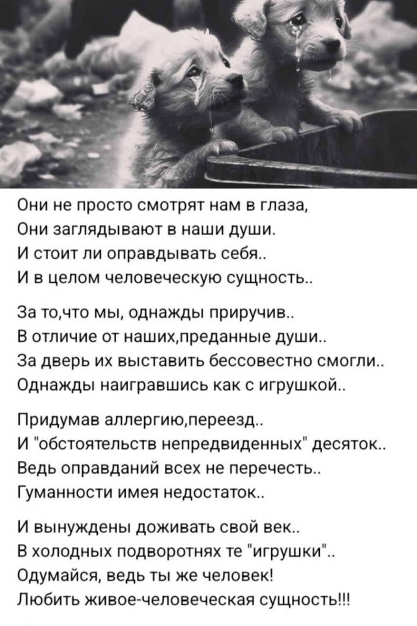  в LOOKY — публикация