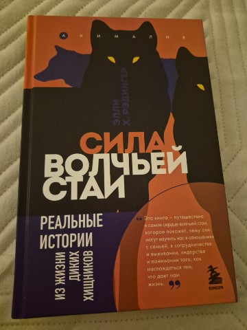 Looky_177218438996929 в LOOKY. . Сила волчьей стаи 🐺...