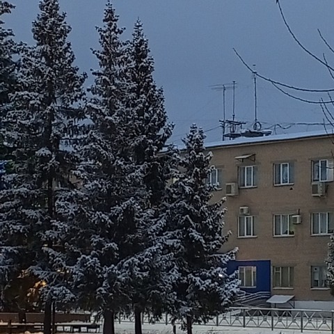 dinazavrik.0_0_ в LOOKY. . Ещё один рабочий ден...