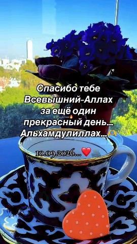 Ysuf в LOOKY — фото 1