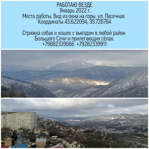 Looky_1676317000260 в LOOKY. #стрижкасобак,#одеждадлясобак,#ШИВ,#Сочи,#фотография,#стрижкасобакСочи,#стрижкакошекСочи,#заповедник,#горы,#работакакэкскурсия. Моя Малая Родина - м...