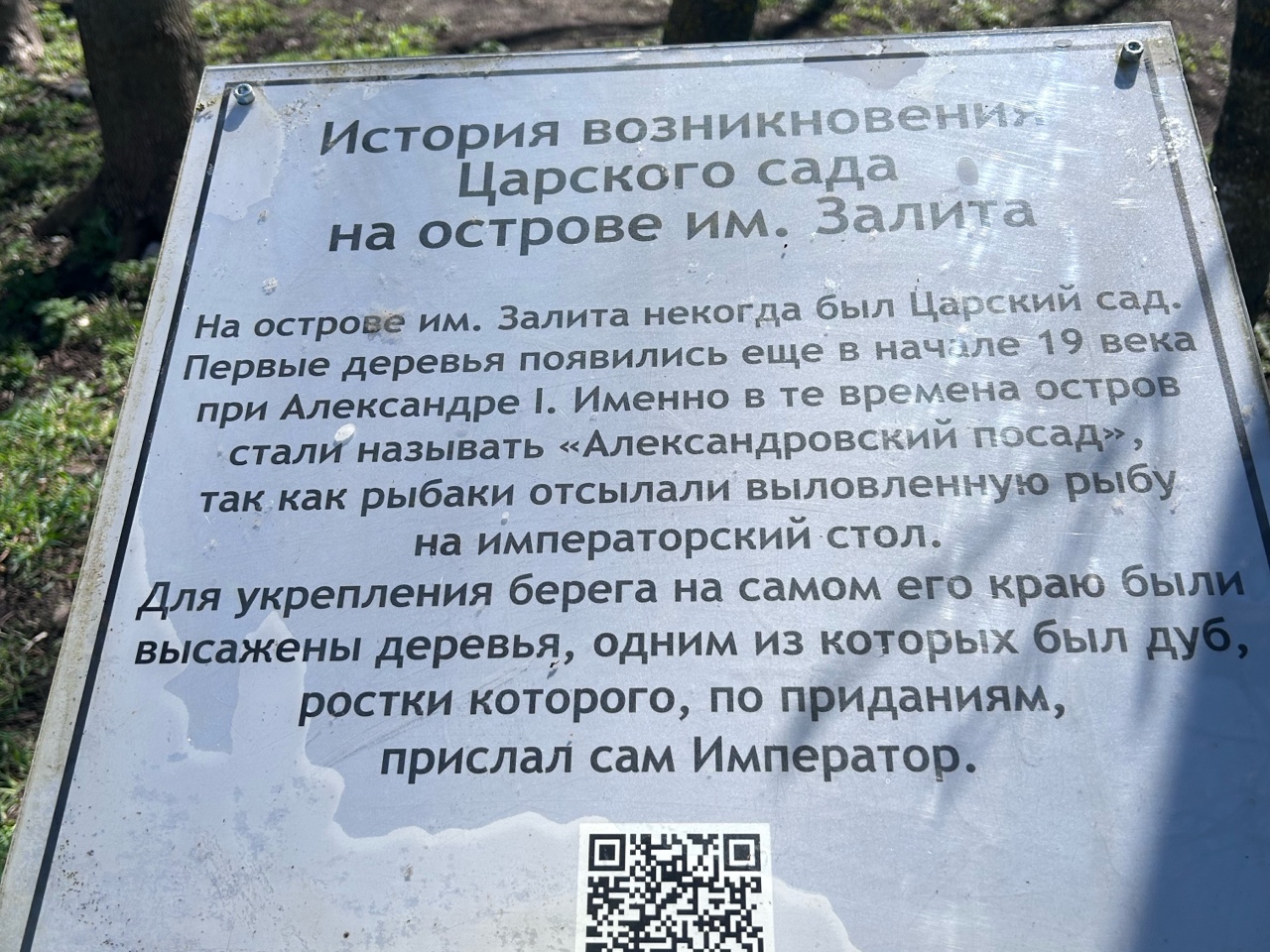 Anastasia_Petrus в LOOKY — фото 5