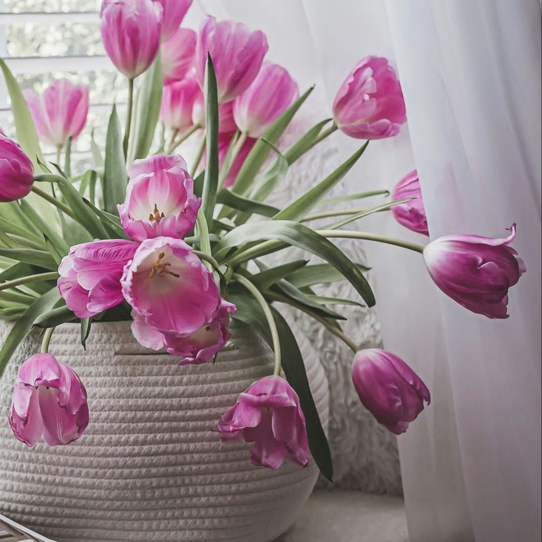 Гузель Кашапова в LOOKY — #Доброе #утро!🌷
7:44
13.03.23