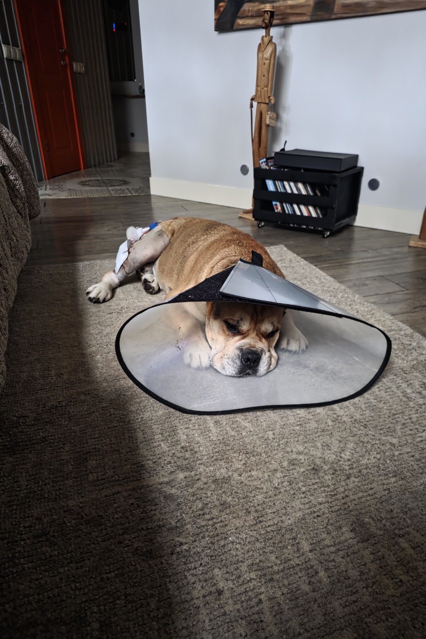 anbarinova в LOOKY — фото 2