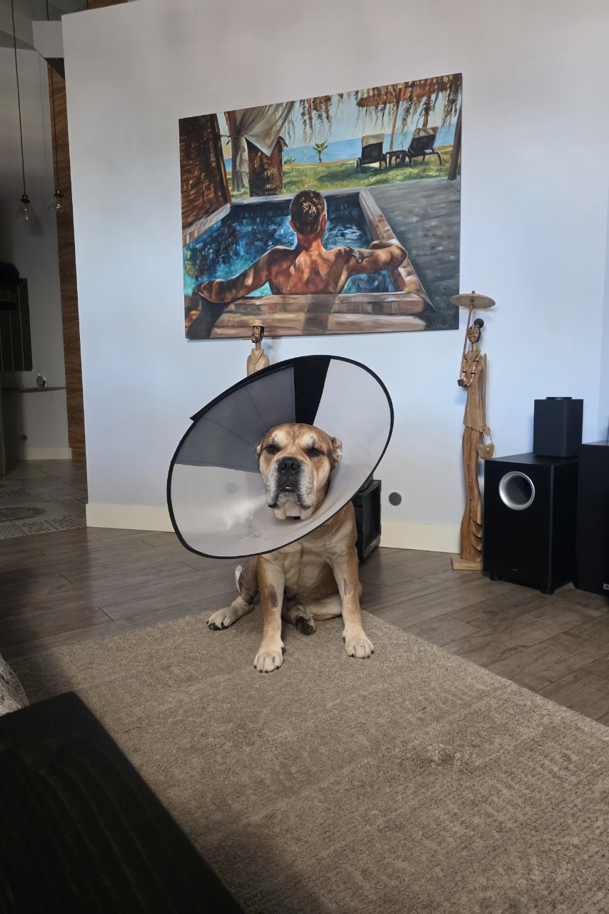 anbarinova в LOOKY. . Временно вот так, но...