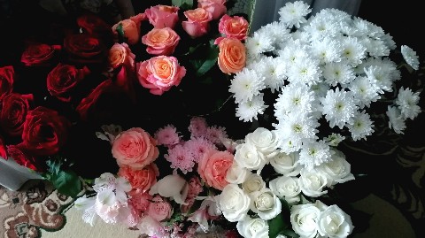natysik.mikhailovna в LOOKY. . Люблю цветочки❤️🌹🌹...