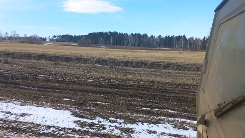 Александр in LOOKY. . 