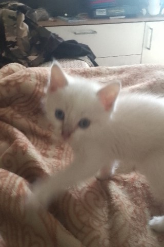Матвей in LOOKY. . 