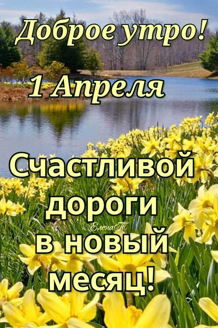 Macsen в LOOKY. . [#1_апреля ](1_апрел...