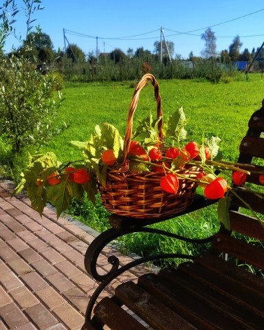 Vladova_T в LOOKY. . 