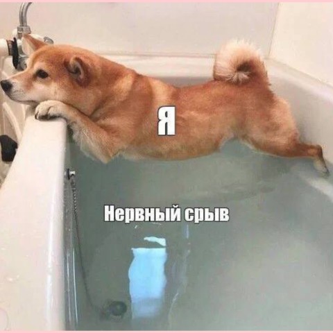 ira_shum в LOOKY. #иравместосториз,#юмор,#сарказм. #иравместосториз #юм...