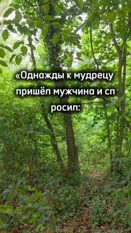 ВОЛК СЕРЫЙ в LOOKY — публикация