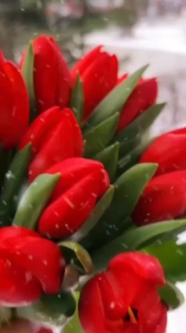 Lora в LOOKY. . С Международным женс...