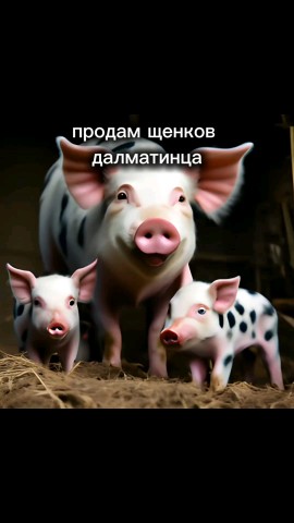 Diana_looky в LOOKY. #юмор. Хорошего вам настрое...