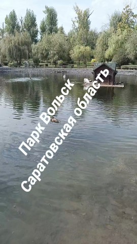 Наталья в LOOKY — публикация