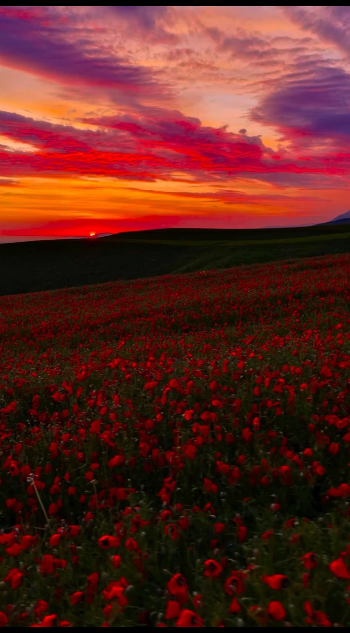 all_about_nature079 в LOOKY. . 