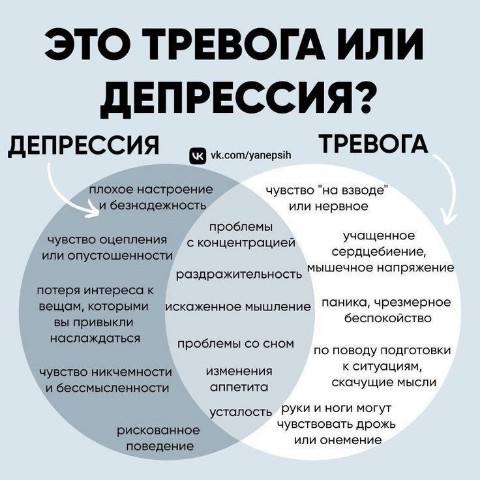 psihologiyaa в LOOKY. . 
