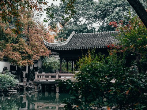 oleg.yusupov в LOOKY. #шанхай,#shanghai,#китай,#china,#азия,#архитектура,#путешествия,#travel,#travelphoto,#путешествие,#мирвокруг,#вокругсвета,#разгребаяархивы. Сад Юй Юань (Сад рад...