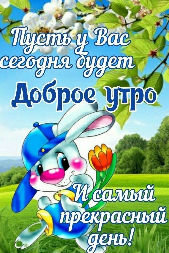 Киса в LOOKY — публикация